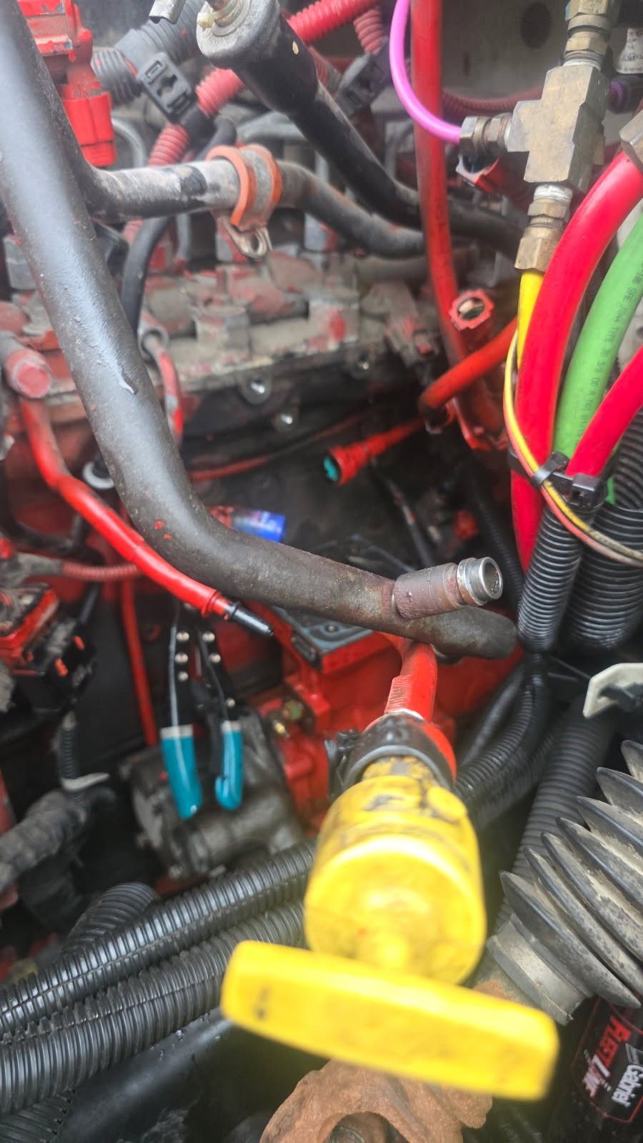 Diesel engine wiring harness and sensors during diagnostics